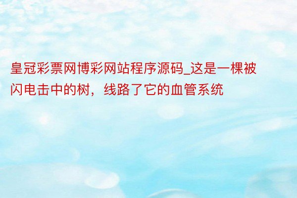 皇冠彩票网博彩网站程序源码_这是一棵被闪电击中的树，线路了它的血管系统